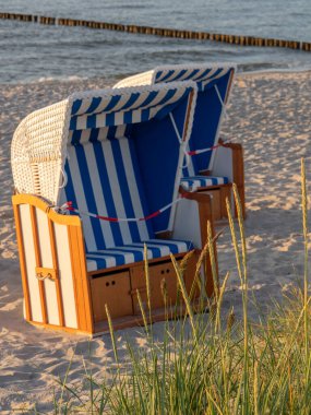 Almanya 'daki Baltık Denizi' ndeki Darss Adası.