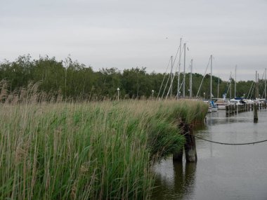 Almanya 'daki Baltık Denizi' ndeki adaya gitmeye cesaret etti.