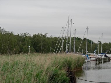 Almanya 'daki Baltık Denizi' ndeki adaya gitmeye cesaret etti.