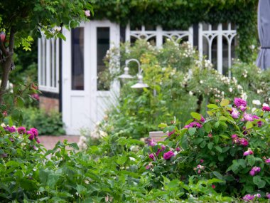 Almanya 'daki Baltık Denizi' ndeki adaya gitmeye cesaret etti.
