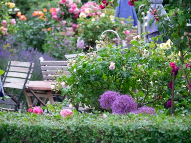 Almanya 'daki Baltık Denizi' ndeki adaya gitmeye cesaret etti.
