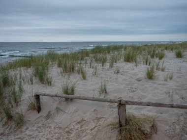 Almanya 'daki Baltık Denizi' ndeki adaya gitmeye cesaret etti.
