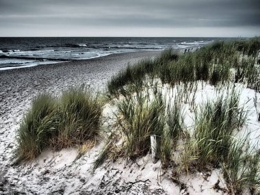 Almanya 'daki Baltık Denizi' ndeki adaya gitmeye cesaret etti.