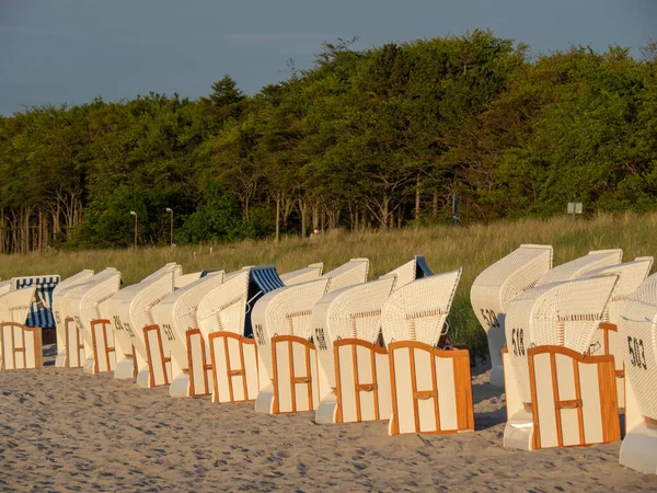 Isola Oscura Mare Baltico Germania — Foto Stock