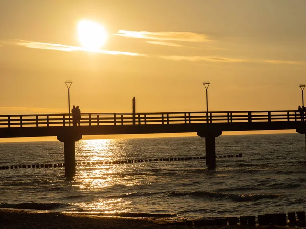 Darss Vid Det Baltiska Havet Tyskland — Stockfoto