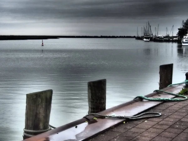 Die Darßinsel Der Ostsee Deutschland — Stockfoto