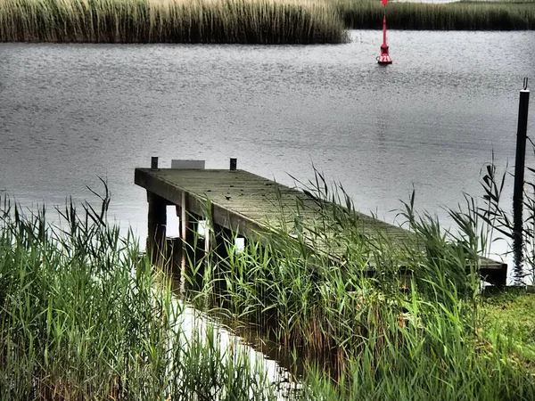 Darss Île Mer Baltique Allemagne — Photo