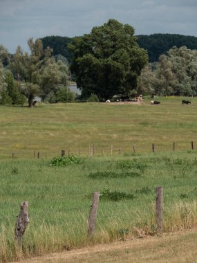 Wesel şehri ve Almanya 'daki Ren Nehri.