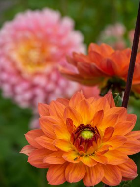 Westphalia 'daki Legden şehri.