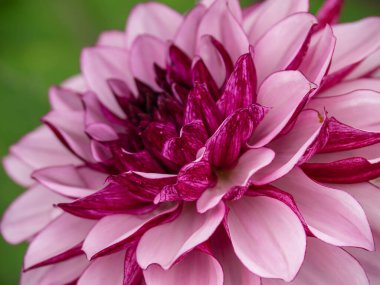 Westphalia 'daki Legden şehri.