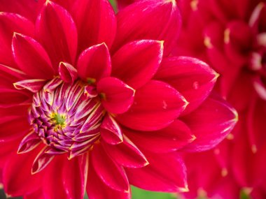 Westphalia 'daki Legden şehri.