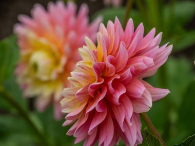 Westphalia 'daki Legden şehri.