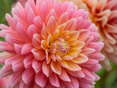 Westphalia 'daki Legden şehri.