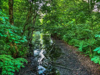 Borken 'de nehrin kıyısında.