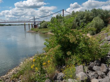 Ren nehri ve Almanya 'daki Emmerich şehri.