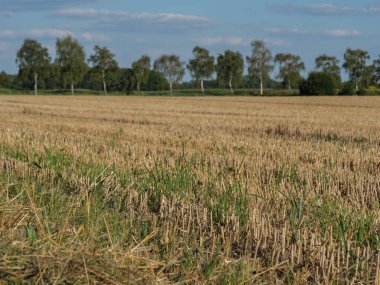 Alman Muensterland 'inde yaz mevsimi