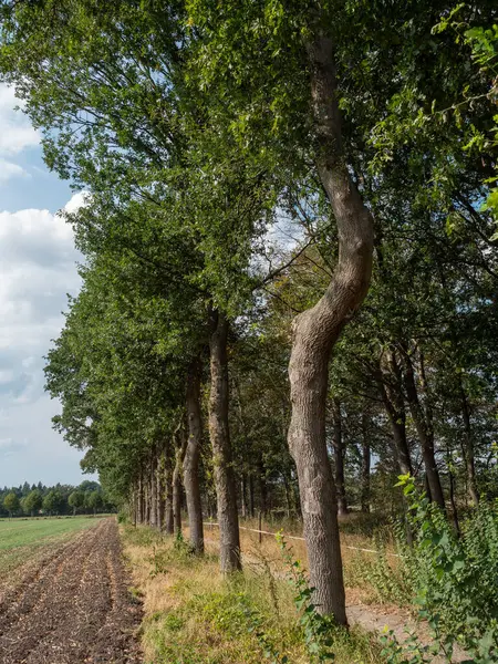 Hora Verano Muensterland Alemán — Foto de Stock