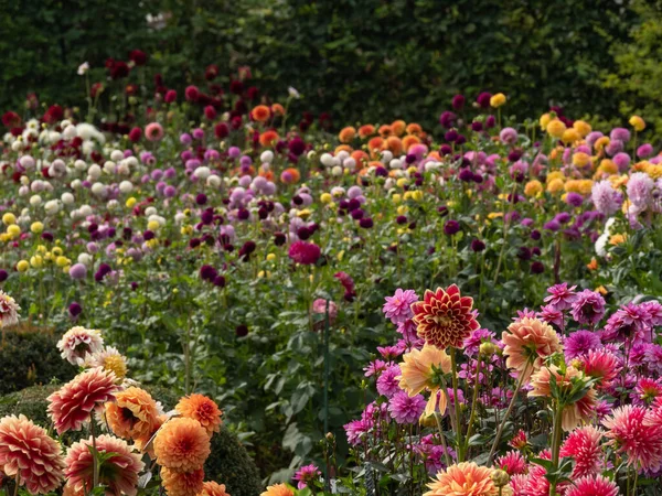 Zomertijd Het Duitse Muensterland — Stockfoto