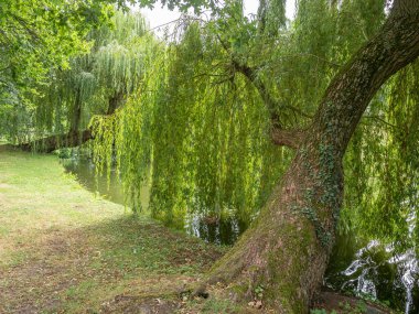 Hollanda 'daki Groenlo şehri.