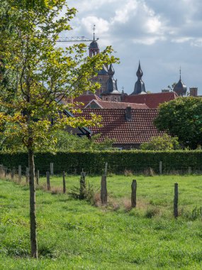 Almanya 'daki Raesfeld Şatosu
