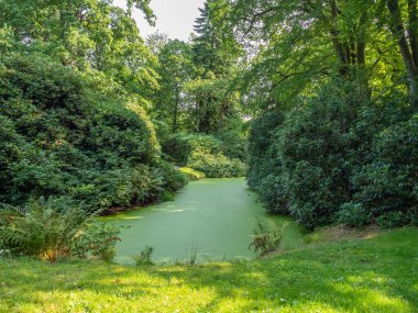  Alman Kuzey Sahili 'nde yaz mevsimi