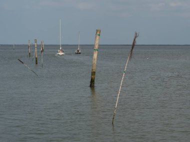  Alman Kuzey Sahili 'nde yaz mevsimi