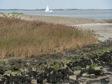  Alman Kuzey Sahili 'nde yaz mevsimi