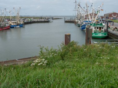  Alman Kuzey Sahili 'nde yaz mevsimi