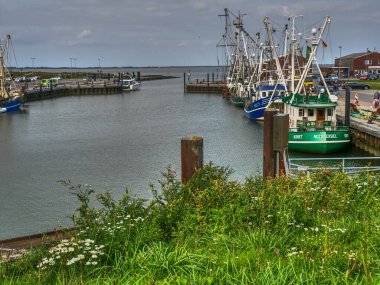  Alman Kuzey Sahili 'nde yaz mevsimi