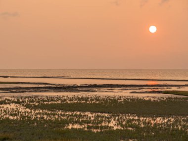 Alman Kuzey Sahili 'nde yaz mevsimi