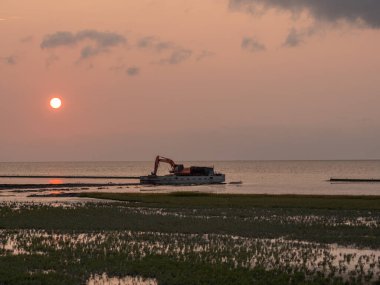 Alman Kuzey Sahili 'nde yaz mevsimi