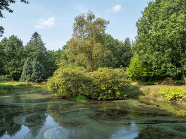 Alman Kuzey Sahili 'nde yaz mevsimi