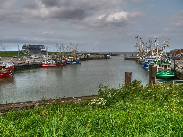  Alman Kuzey Sahili 'nde yaz mevsimi