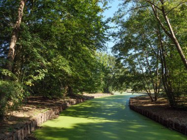 Almanya 'daki Anholt Kalesi