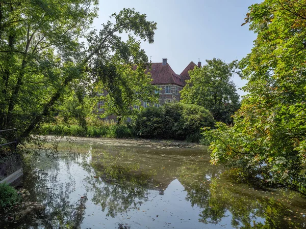 Old castle in in the forest