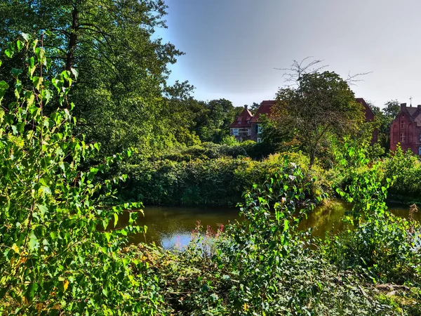 Oud Kasteel Het Bos — Stockfoto