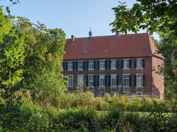 Vieux Château Dans Forêt — Photo