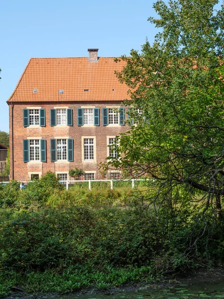 Vieux Château Dans Forêt — Photo