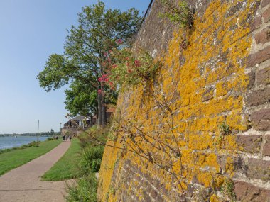 Maastricht şehri Hollanda 'daki Maas nehrinde.