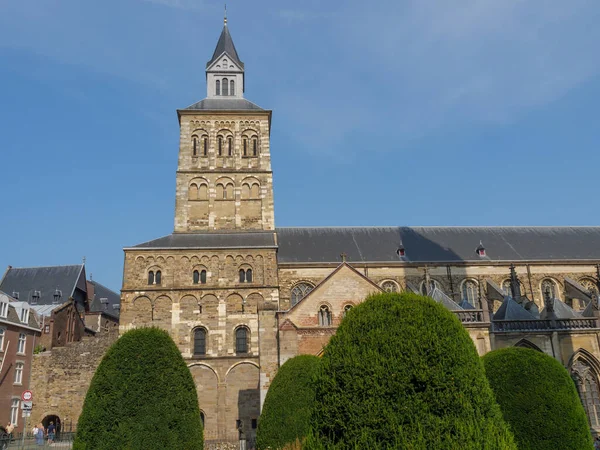 Die Stadt Des Straußes Fluss Maas Den Niederlanden — Stockfoto