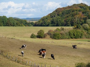 Waldeck ve Almanya 'daki edersee