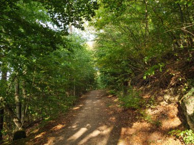 Almanya 'daki Waldeck ve Edersee köyü.
