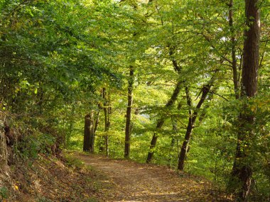 Almanya 'daki Waldeck ve Edersee köyü.