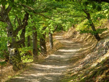 Waldeck şehri ve Almanya 'daki edersee