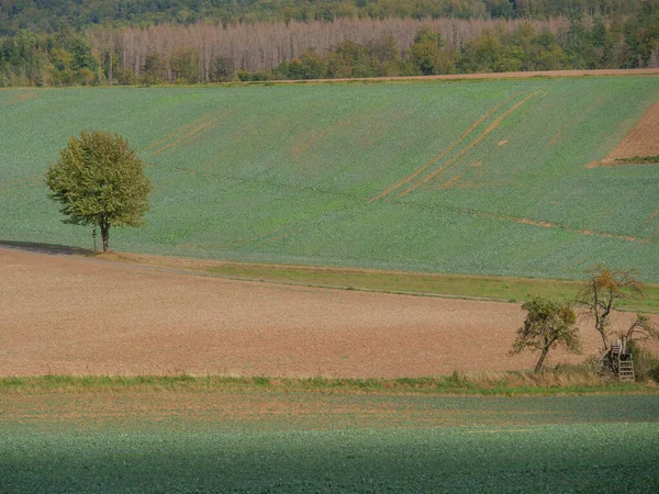 Die Stadt Waldeck Und Der Edersee Deutschland — Stockfoto