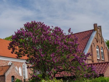 Alman Kuzey Sahili 'nde selamlar