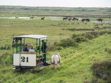Kuzey Denizi 'ndeki Spiekeroog Adası