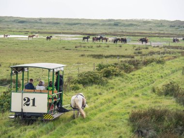 Kuzey Denizi 'ndeki Spiekeroog Adası