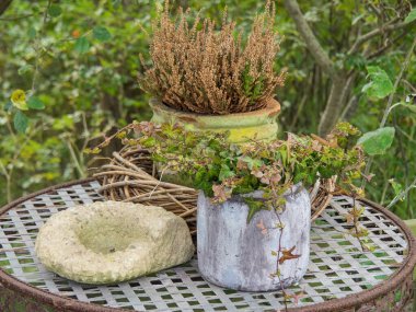 Kuzey Denizi 'ndeki Spiekeroog Adası