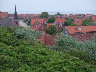 Kuzey denizindeki juist adası.